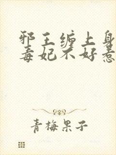 邪王缠上身神医毒妃不好惹完结版