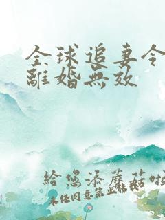全球追妻令老婆离婚无效