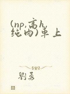 (np,高h,纯肉)车上