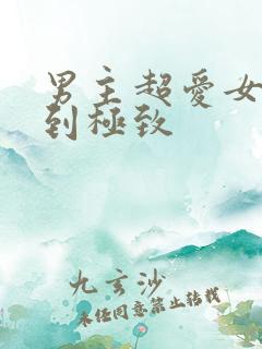 男主超爱女主爱到极致