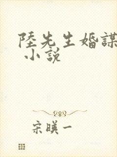 陆先生婚谋已久 小说