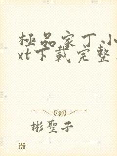 极品家丁小说txt下载完整版
