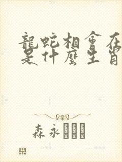 龙蛇相会在今期是什么生肖