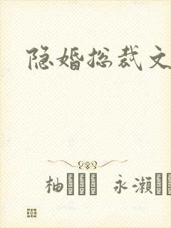 隐婚总裁文