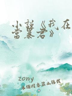 小说《我在大明当暴君》