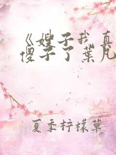 《嫂子我真不是傻子了叶凡》