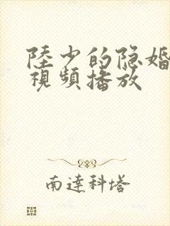 陆少的隐婚罪妻视频播放