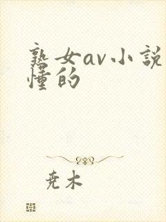 熟女av小说你懂的