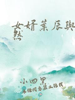 女婿叶辰与箫初然