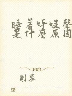 睡着呼吸声音大是什么原因