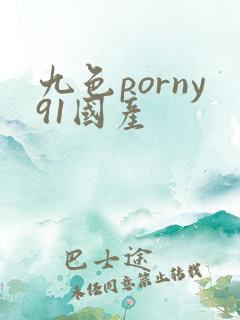 九色porny91国产