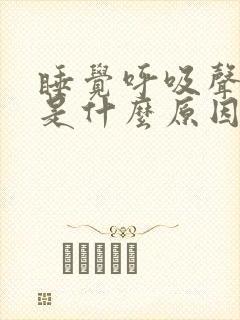 睡觉呼吸声音大是什么原因