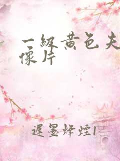 一级黄色夫妻录像片