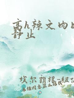 高h辣文肉时间静止