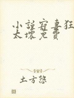 小说宠妻狂魔别太坏免费