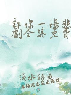 许你一场悲欢短剧全集免费看