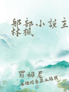 那部小说主角叫林枫