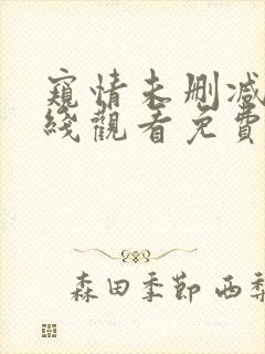 窥情未删减版在线观看免费版高清电影