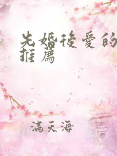 先婚后爱的小说推荐