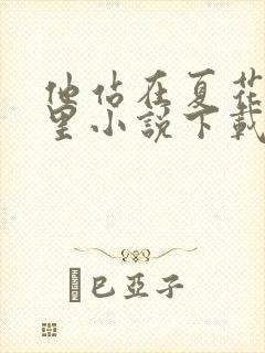 他站在夏花绚烂里小说下载