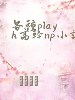 各种play h高干np小说