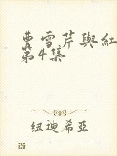 曹雪芹与红楼梦第4集