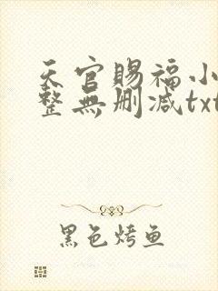 天官赐福小说完整无删减txt下载