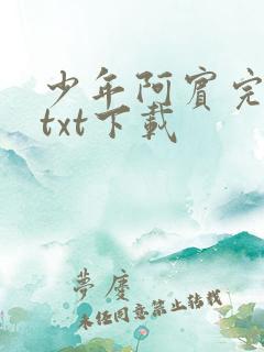 少年阿宾完整版txt下载