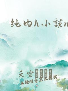 纯肉h小说np
