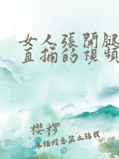 女人张开腿男人直捅的视频