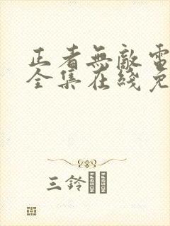 正者无敌电视剧全集在线免费观看