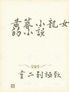 黄蓉小龙女题材的小说