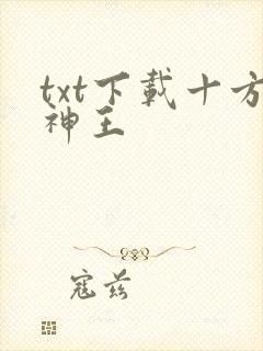txt下载十方神王