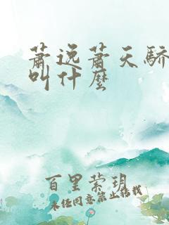 萧逸萧天骄小说叫什么
