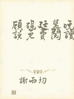 顾砚廷慕晚夏小说免费阅读
