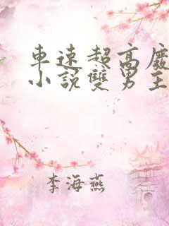 车速超高废文的小说双男主