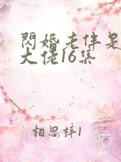 闪婚老伴是豪门大佬16集