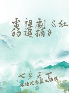 电视剧《红岩下的追捕》