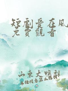 短剧爱在风雨后免费观看