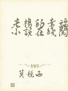 老杨的幸福生活小说在线阅读