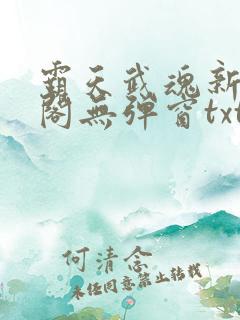 霸天武魂新笔趣阁无弹窗txt