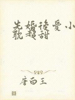 先婚后爱小说原耽超甜