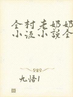 全村老奶奶我叫小流小说全文阅读