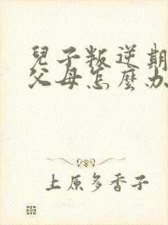 儿子叛逆期不理父母怎么办