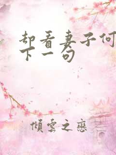 却看妻子何愁在下一句
