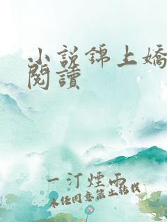 小说锦上娇免费阅读