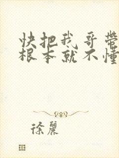 快把我哥带走你根本就不懂我台词