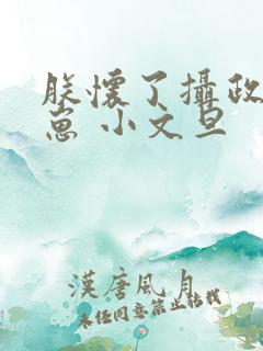 朕怀了摄政王的崽 小文旦