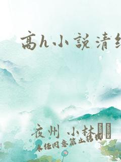 高h小说清纯