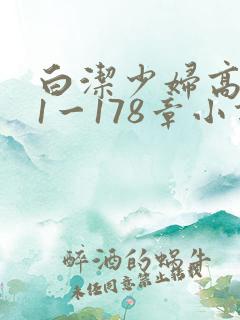 白洁少妇高义第1一178章小说